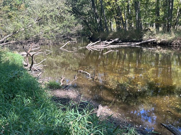 Image for River Lane Waterfront Lots Auction