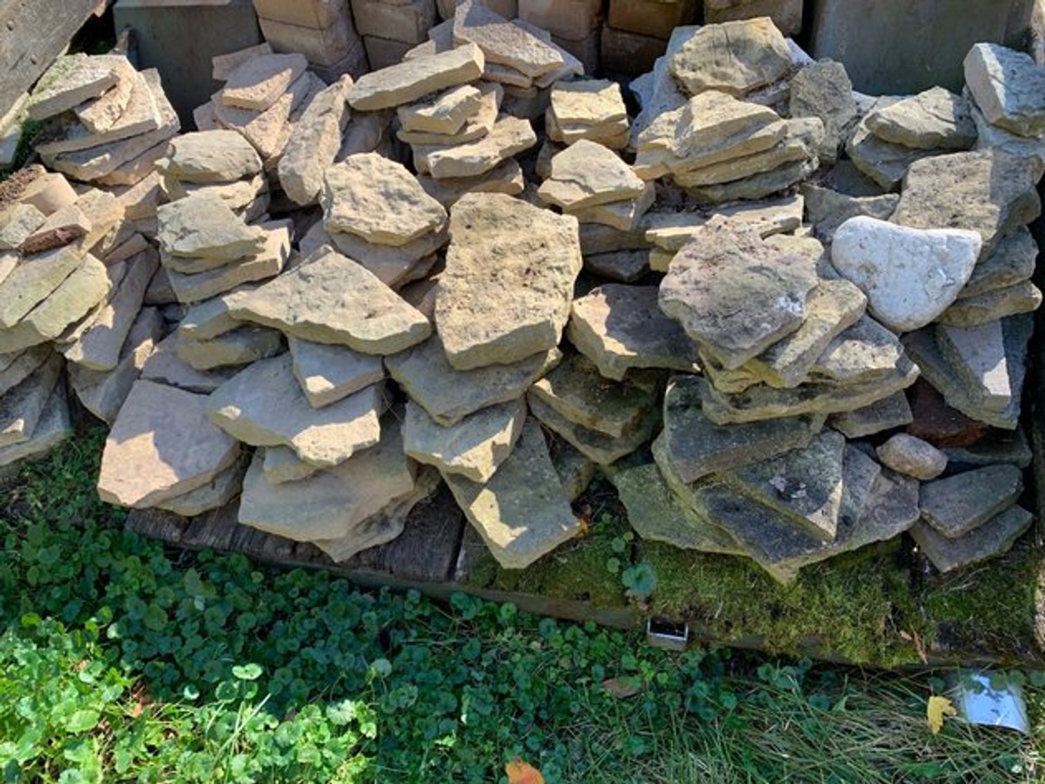 Image for Steven Zoelk Estate Auction