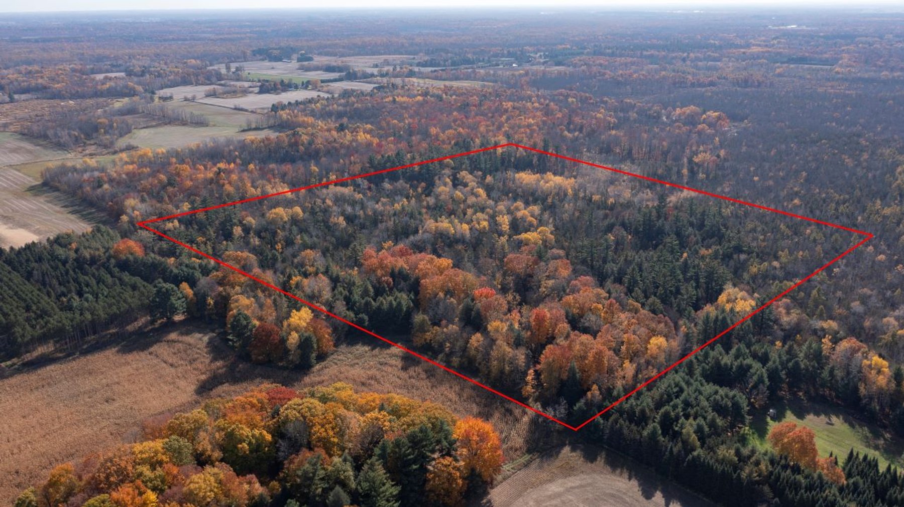 Image for County Road C Land Auction