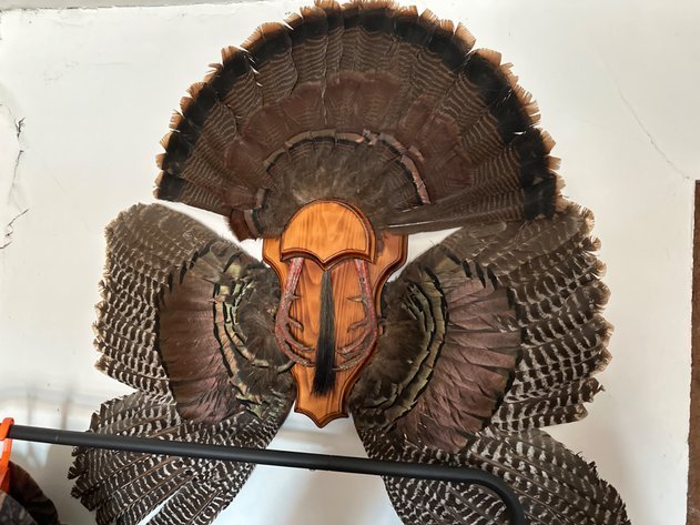 Image for Heling Auction