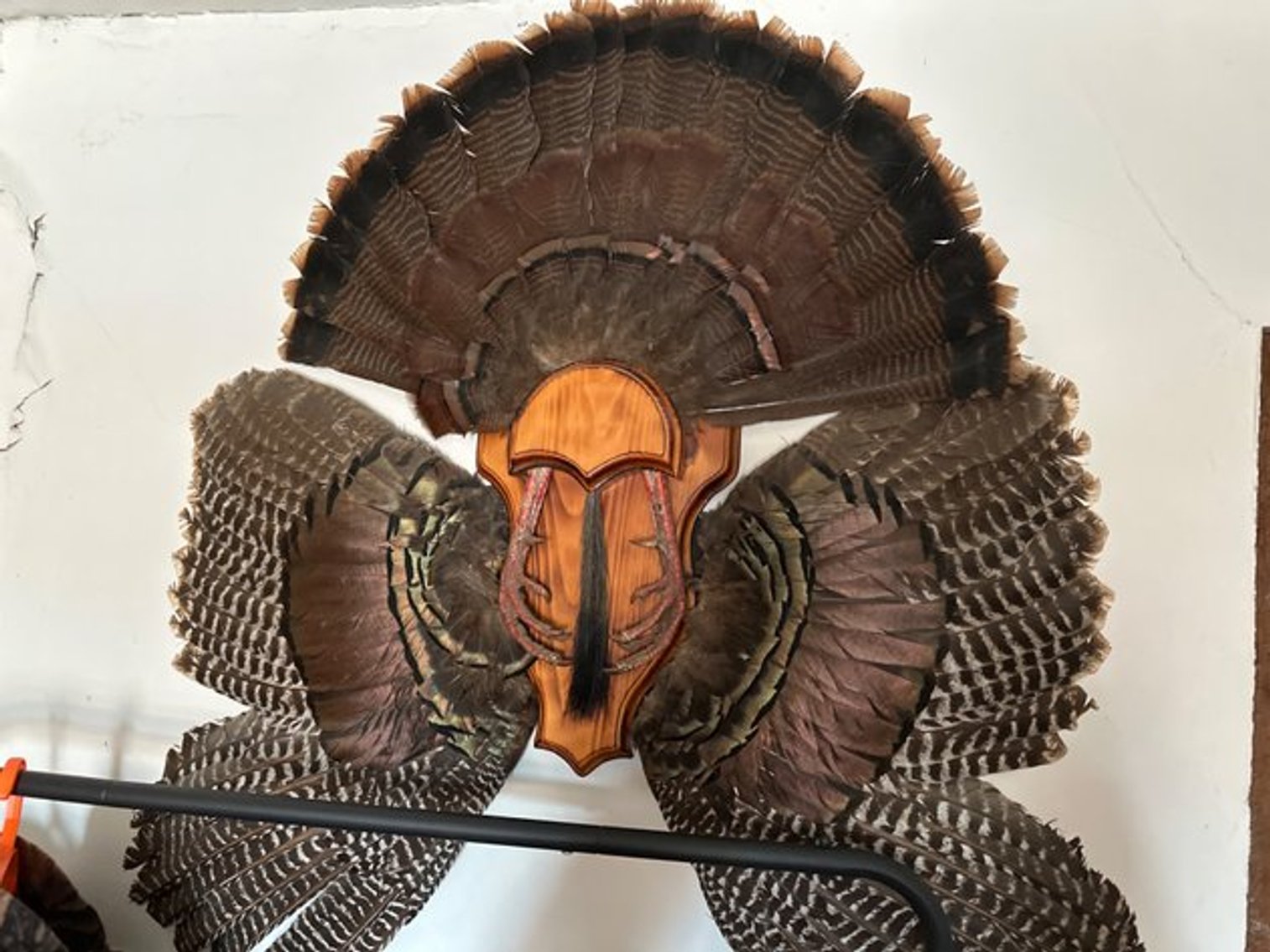 Image for Heling Auction