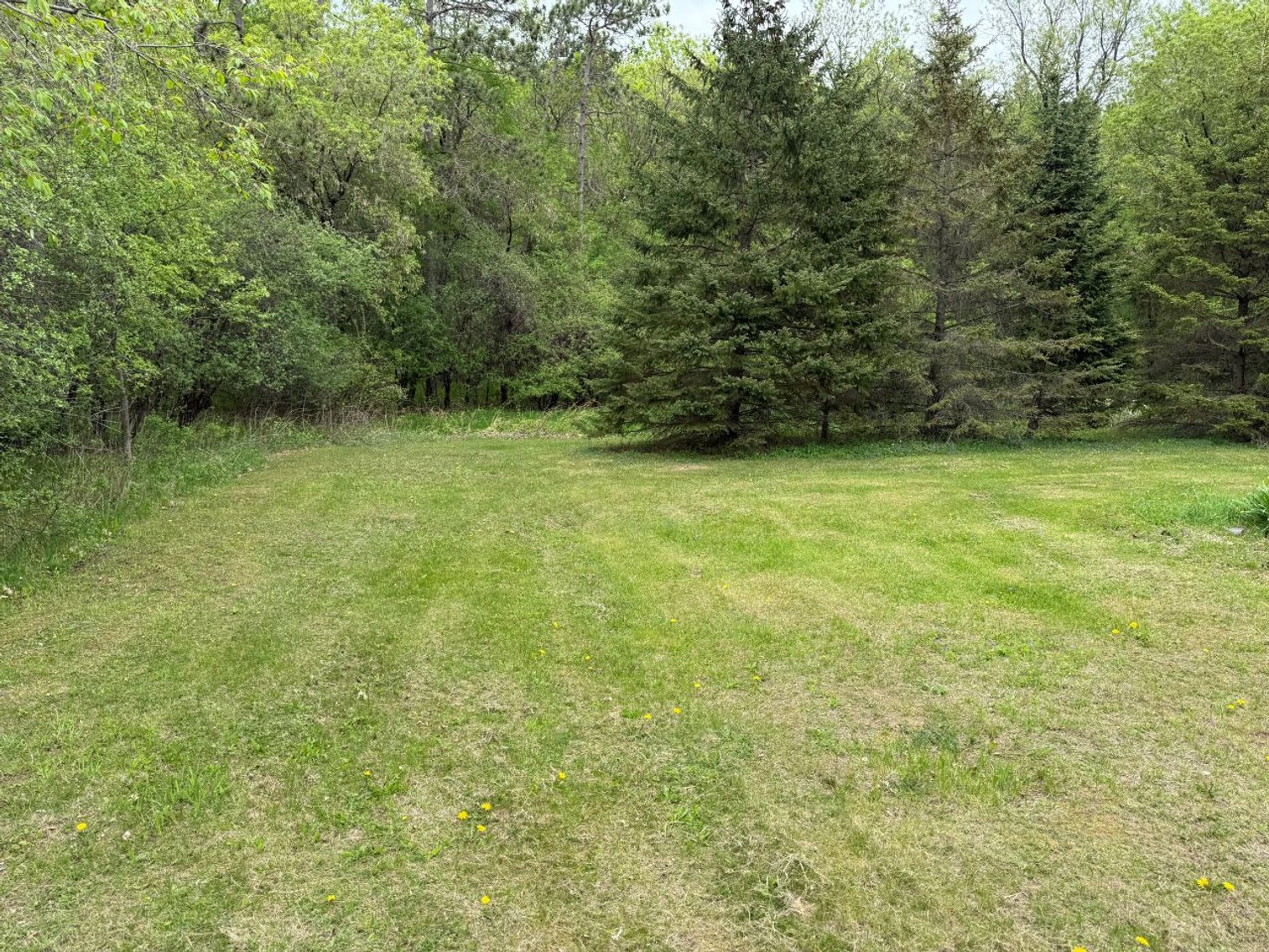 Image for Elmer & Dorothy Arndt Estate