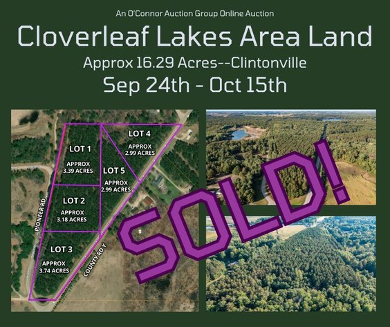 Image for Cloverleaf Lakes Area Land Auction