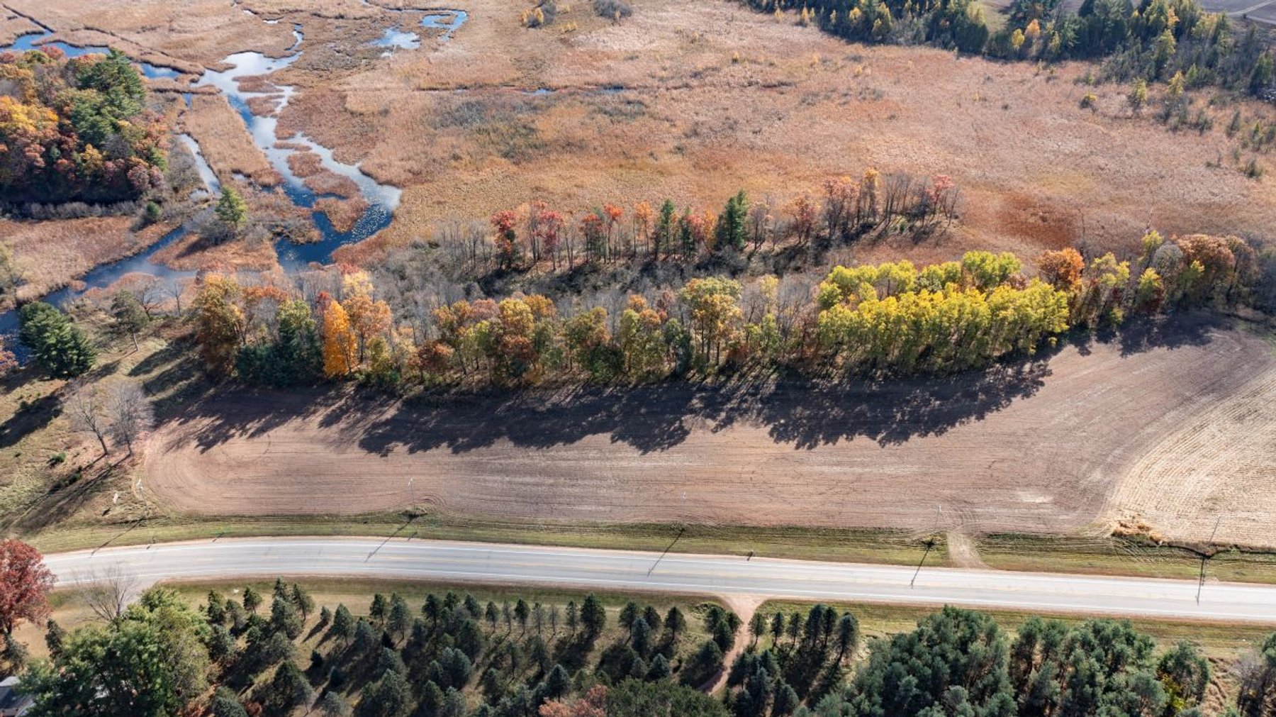 Image for Embarrass Lots Auction