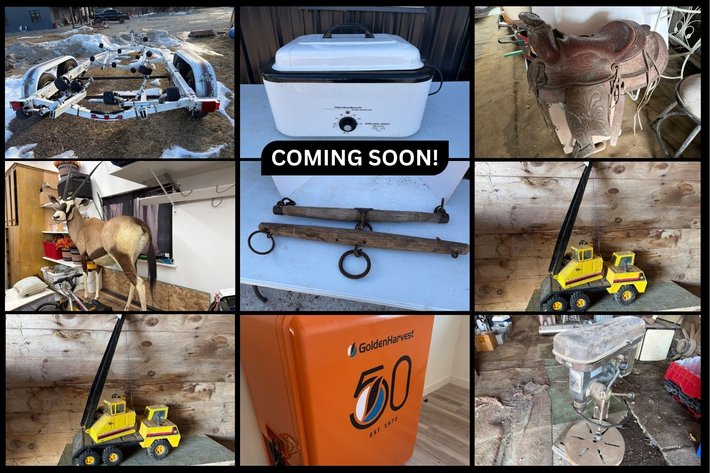 Image for Dick Singler Auction - Shiocton