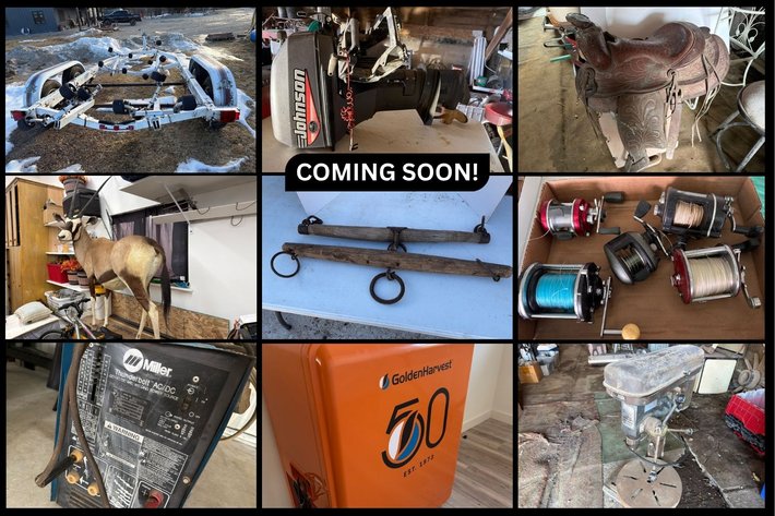 Image for Dick Singler Auction - Shiocton