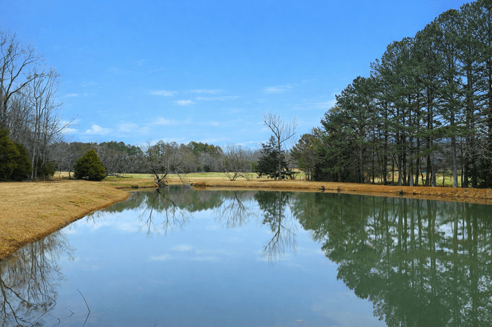 Image for The Dogwood Farm – Near Jacksonville, Alabama