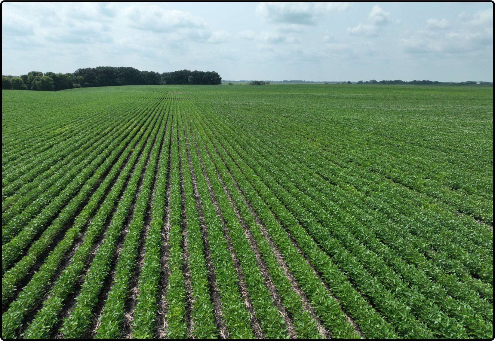 Image for Closed - Blue Earth Co., MN - 668.46 Ac., m/l (190-0239)