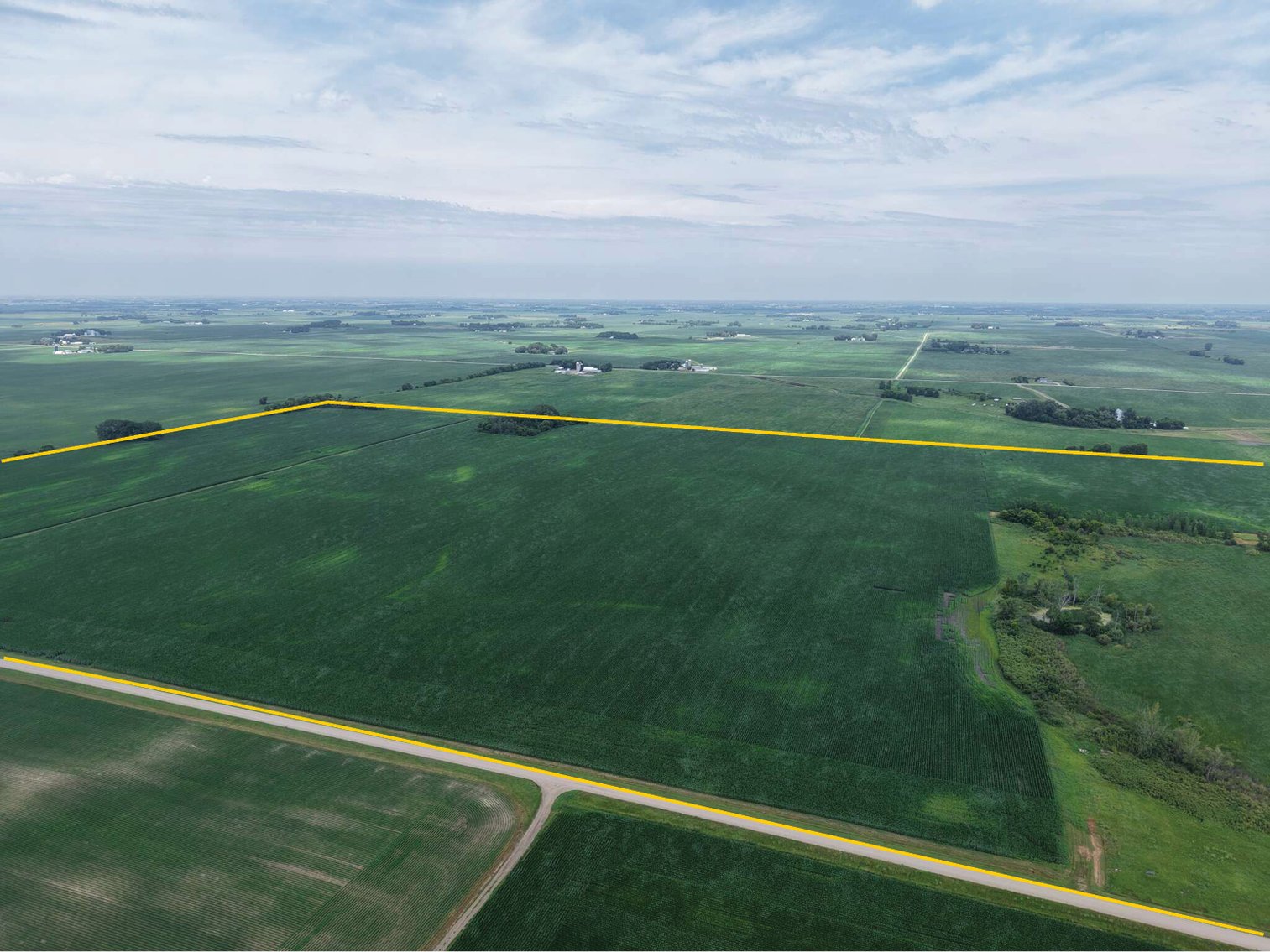 Image for Closed - McLeod Co., MN - 318.57 Ac., m/l (190-0290)