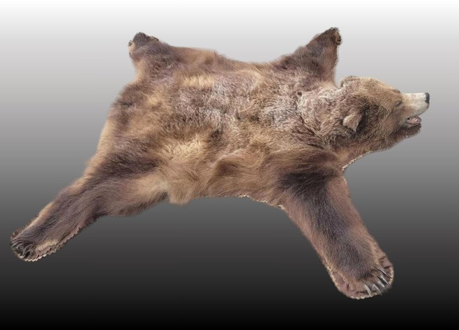 Image for December 2023 Furniture & Décor