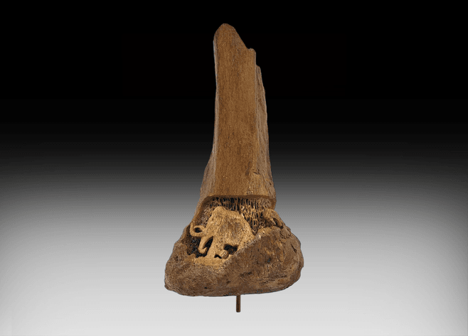 Image for December 2023 Discovery Auction