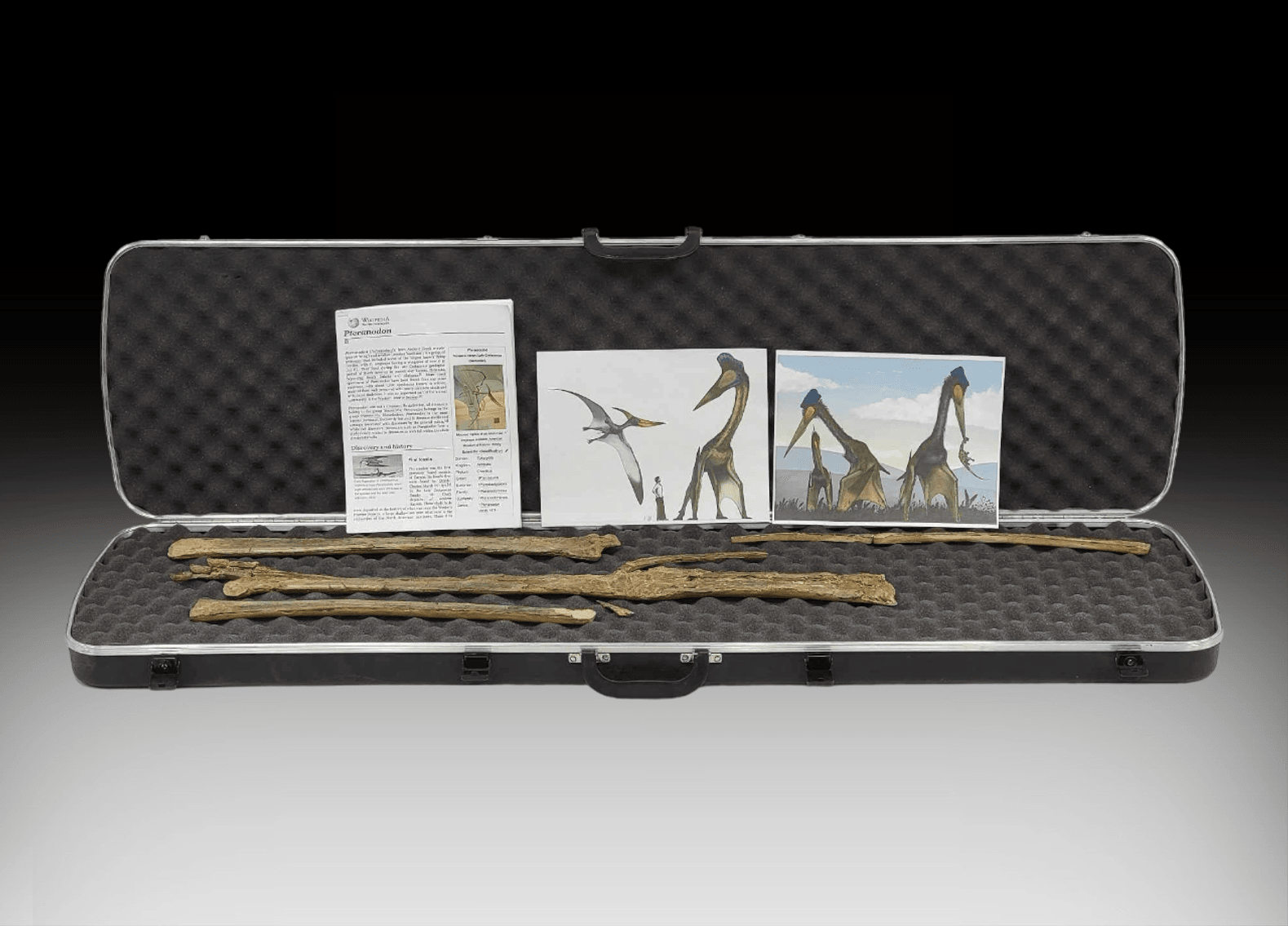 Image for New Year's 2024 Premier Auction