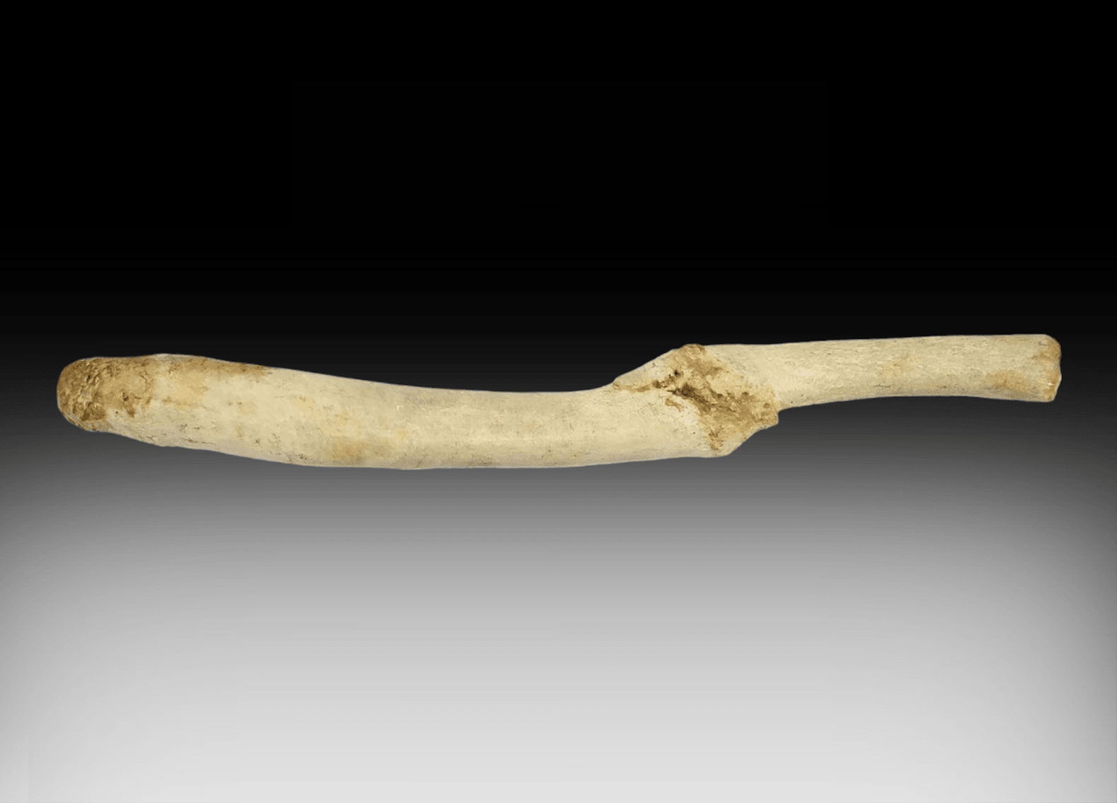 Image for New Year's 2024 Premier Auction