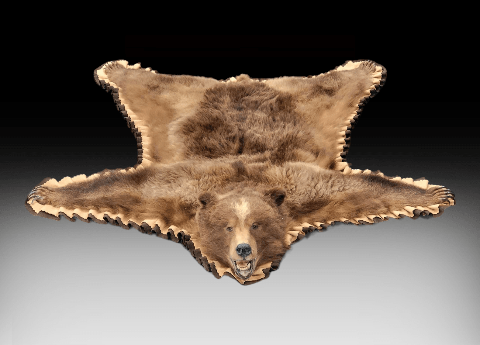 Image for New Year's 2024 Premier Auction