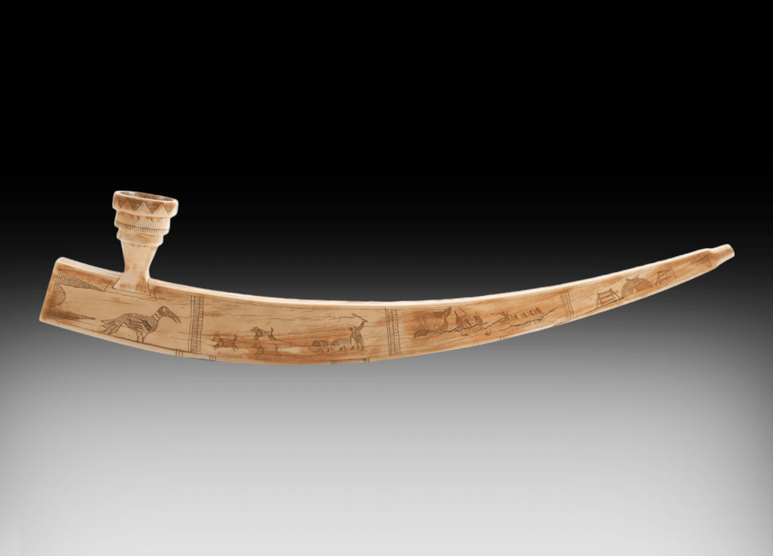 Image for New Year's 2024 Premier Auction