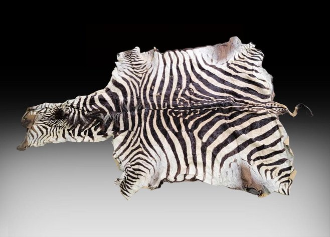 Image for January 2024 Treasure Trove Auction