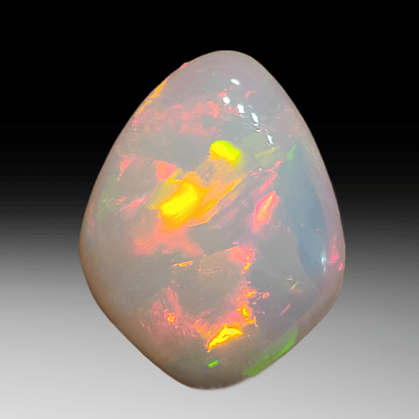 Image for January 2024 Whimsical Wonders Auction