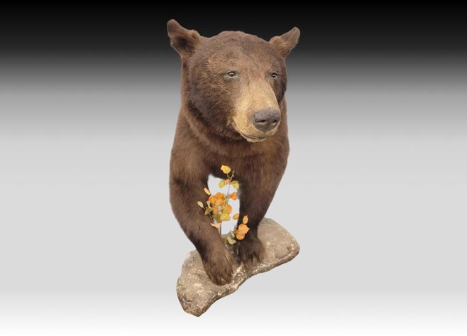 Image for February 2024 Sportsman's Sanctuary Auction