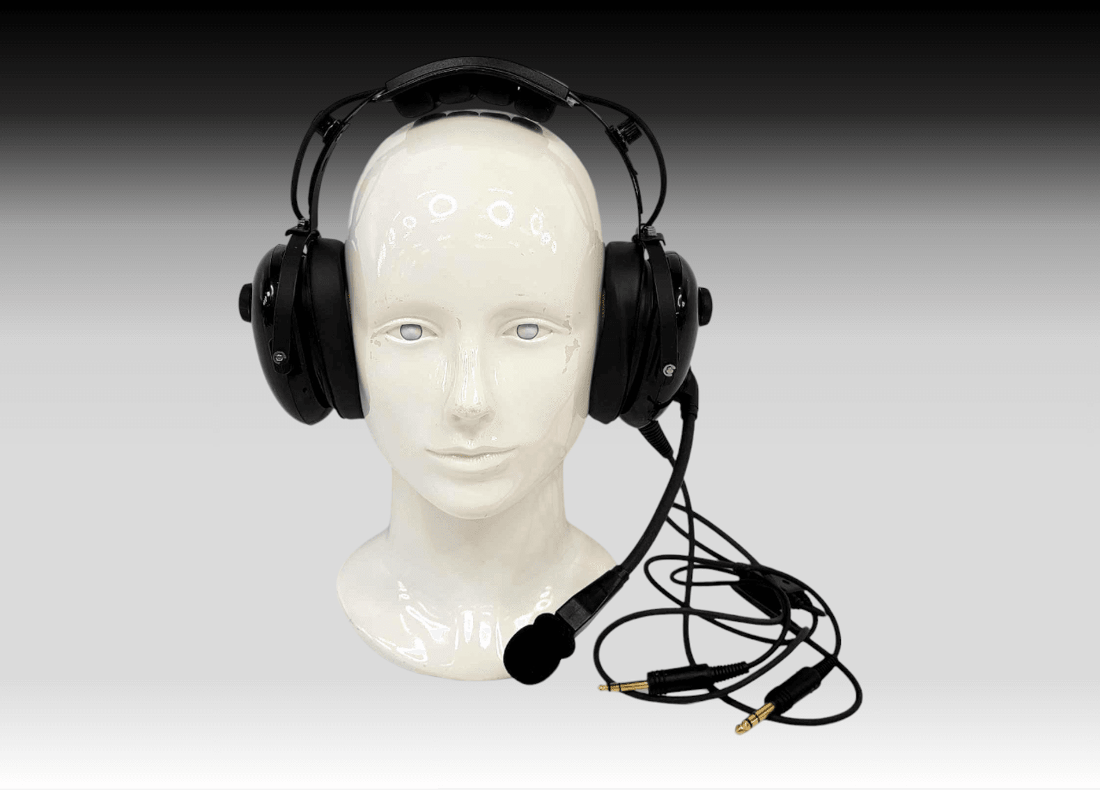 Image for February 2024 APD Evidence & Abandoned Property Auction