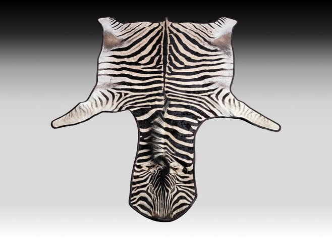 Image for March 2024 Discovery Auction