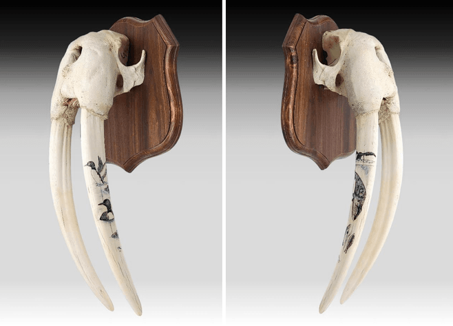 Image for March 2024 Premier Auction