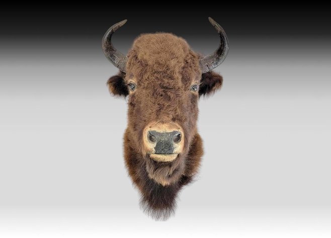 Image for March 2024 Fantastic Finds Auction