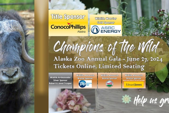 Image for Champions of the Wild 2024 Fundraising Auction
