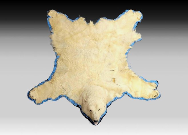 Image for Collection of Arthur Gross Day 1