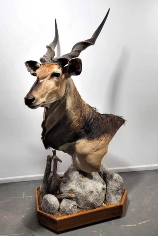 Image for July 2024 Out N' About Auction