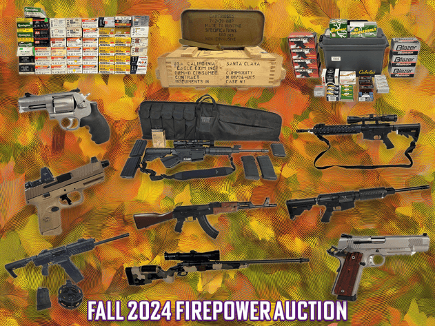 Image for Fall 2024 Firepower Auction