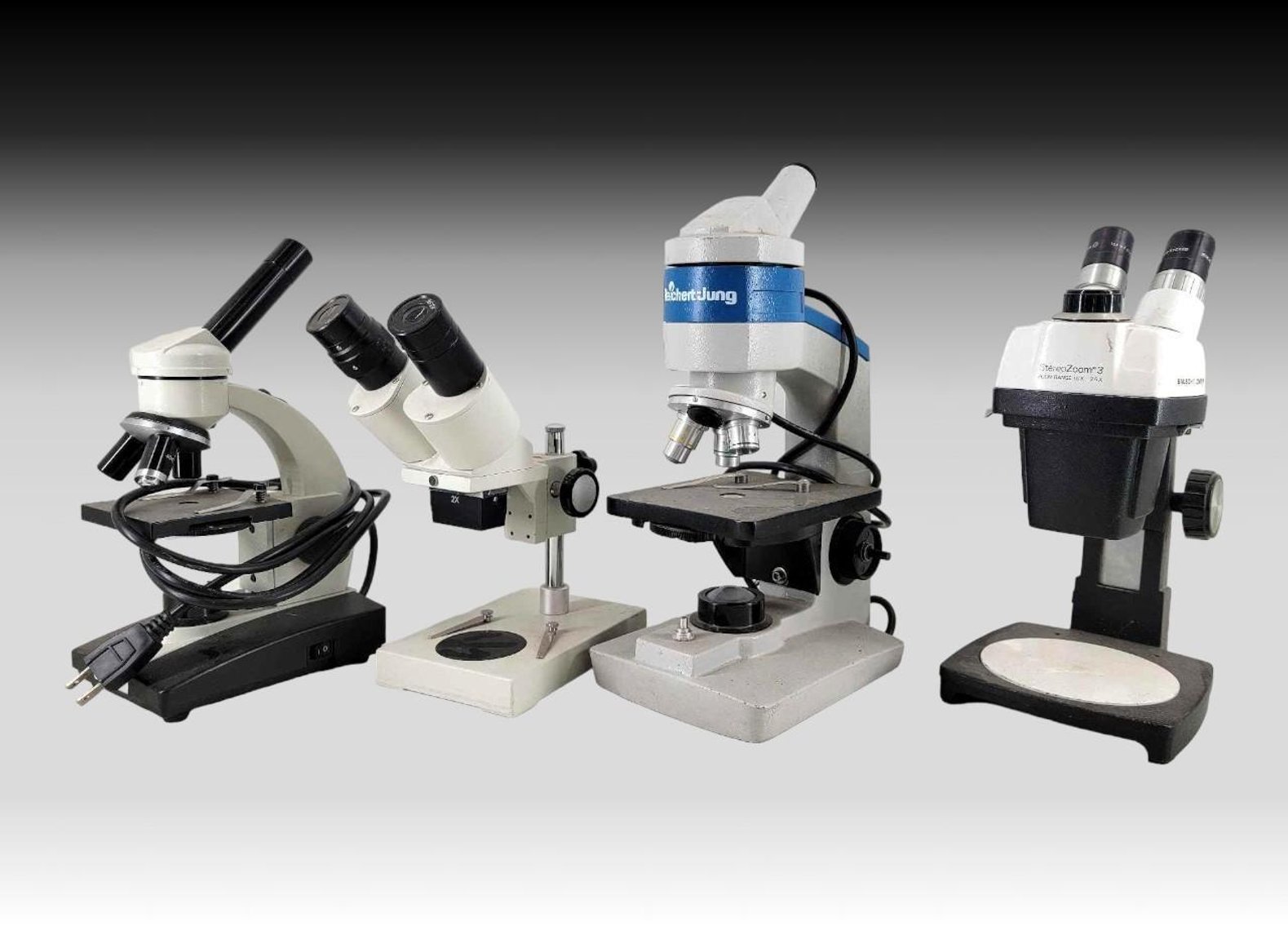 Image for September 2024 Curiosities Auction