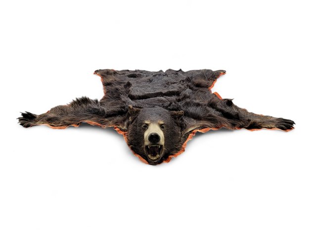 Image for September 2024 Discovery Auction