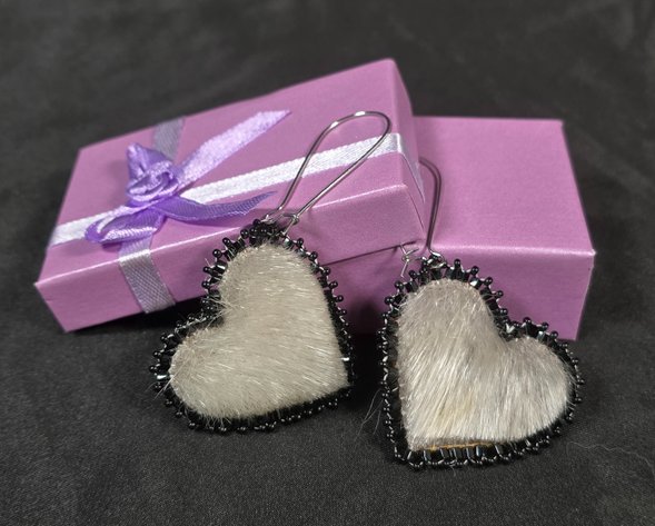 Image for Mountain City Christian Academy's Inaugural Gala