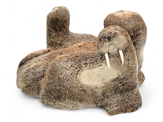 Image for October 2024 Discovery Auction