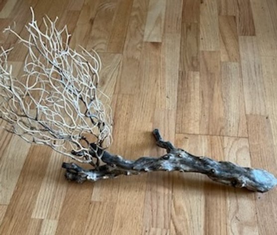 Image for Alaska CHARR 2024 Kodiak Lions Fundraising Auction