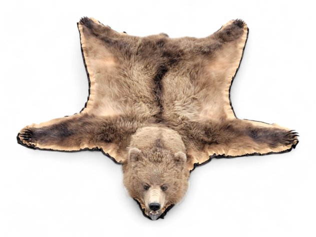 Image for October 2024 Out N' About Auction