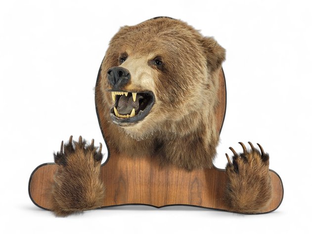 Image for November 2024 Curiosities Auction