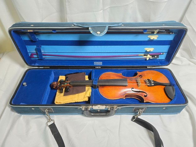 Image for SEAS 2024 Illuminate the Night Fundraising Auction