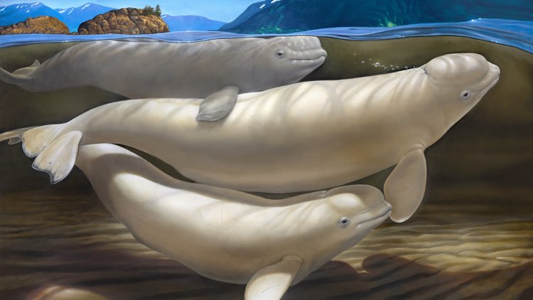 Image for December 2024 Premier Auction