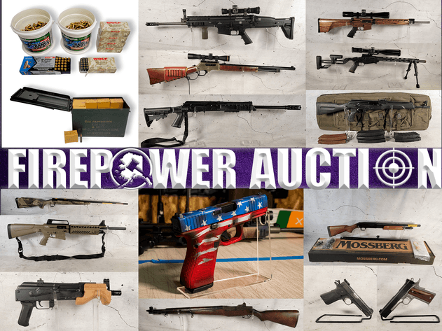 Image for January 2025 Firepower Auction