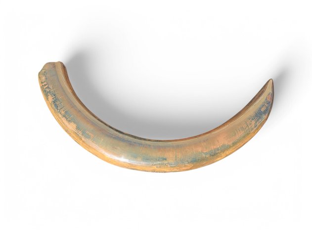 Image for March 2025 Premier Auction