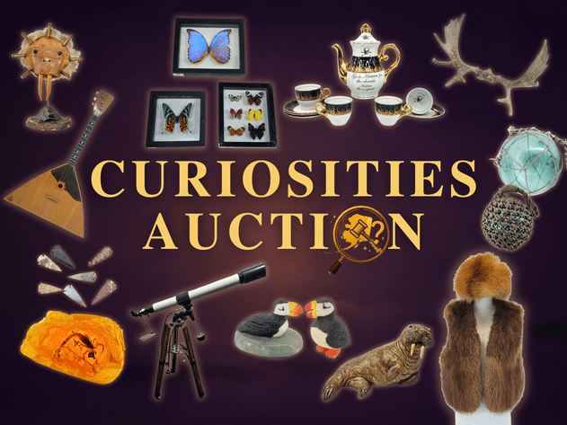 Image for May 2025 Curiosities Auction