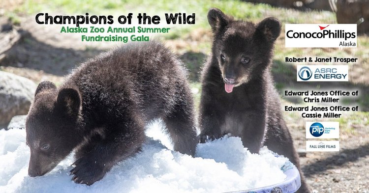 Image for Alaska Zoo 2025 Champions of the Wild