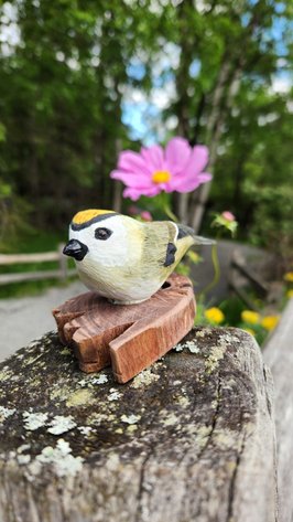 Image for Alaska Zoo 2025 Champions of the Wild