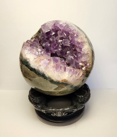 Image for Alaska Zoo 2025 Champions of the Wild