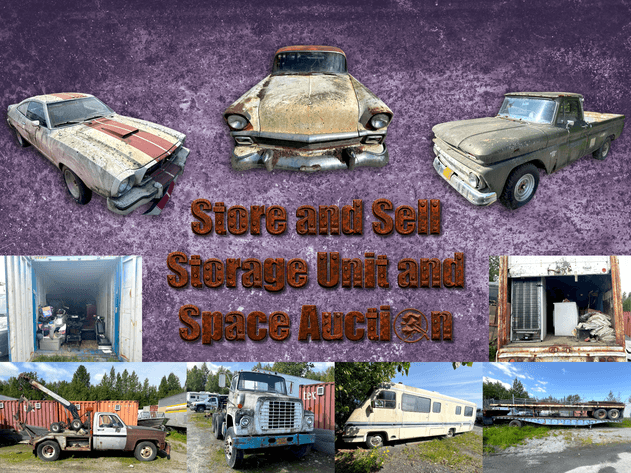 Image for Store and Sell Storage Unit and Space Auction