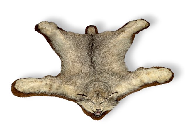 Image for September 2025 Out N' About Auction