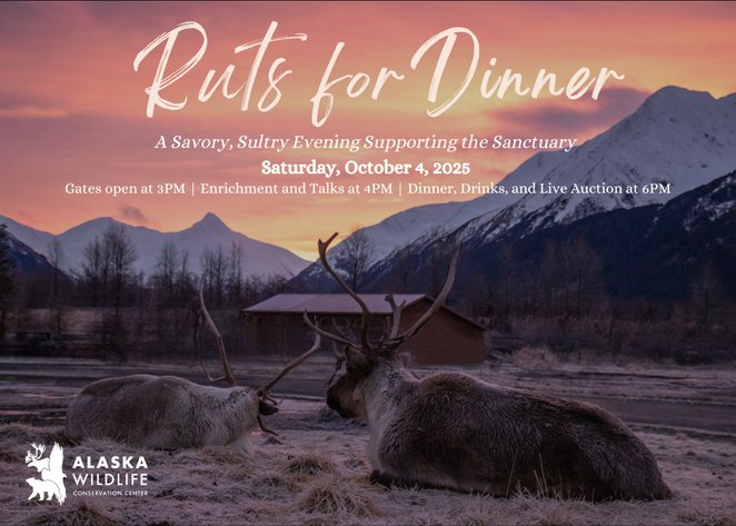 Image for Alaska Wildlife Conservation Center Benefit Auction 2025