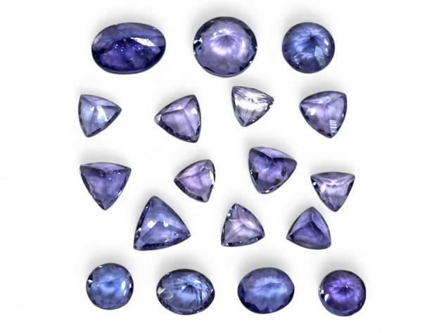 Image for January 2026 Discovery Auction