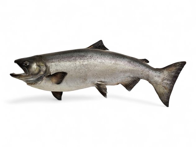 Image for March 2026 Fantastic Finds Auction